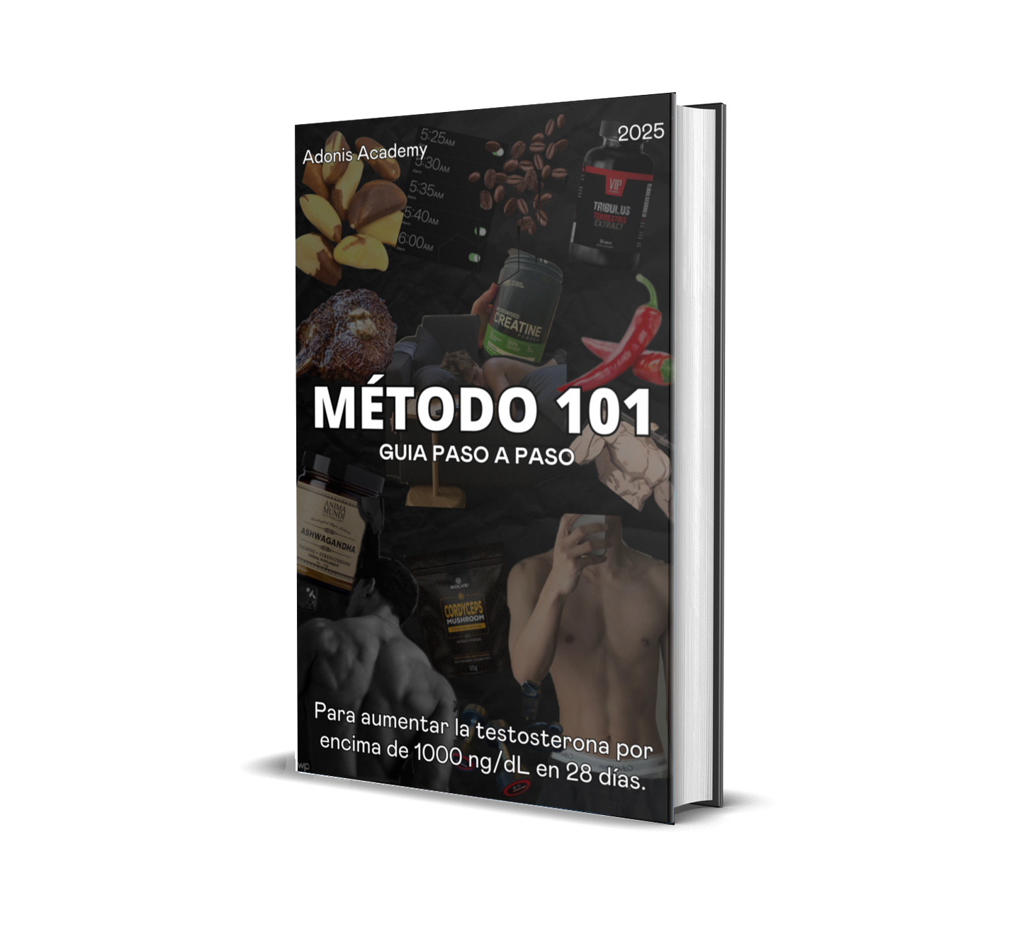 METODO 101